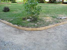 yard work 2010